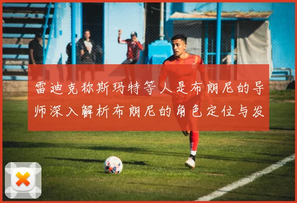 雷迪克称斯玛特等人是布朗尼的导师深入解析布朗尼的角色定位与发展方向