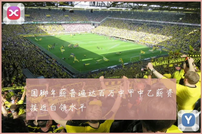国脚年薪普遍达百万中甲中乙薪资接近白领水平