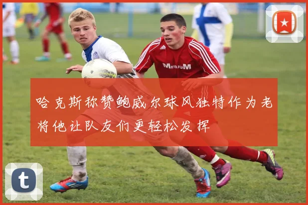 哈克斯称赞鲍威尔球风独特作为老将他让队友们更轻松发挥