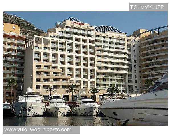 英媒称戴尔在摩纳哥表现抢眼接近被英格兰征召图赫尔密切关注其动态